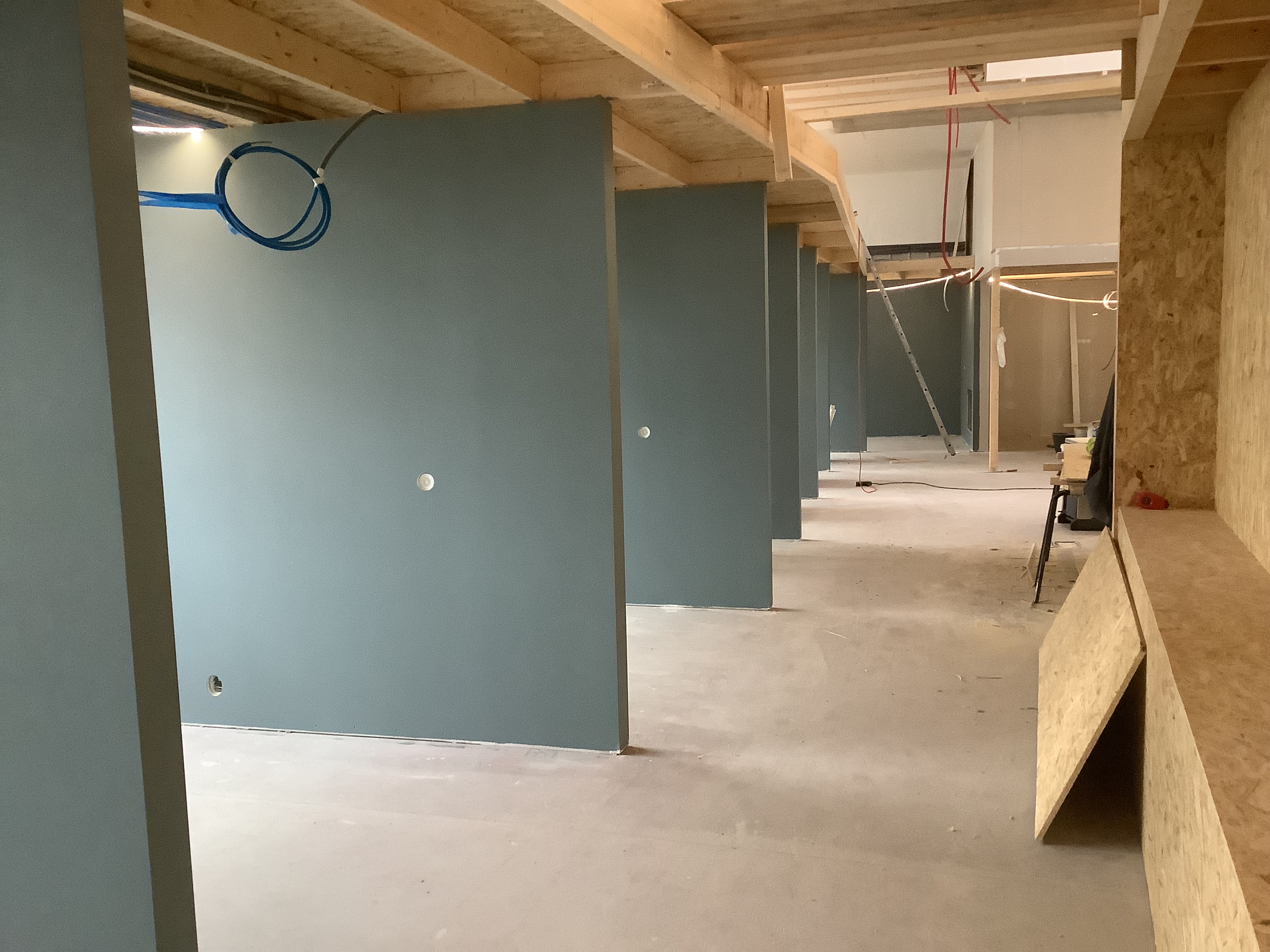 Metra Moss - Bilde 2