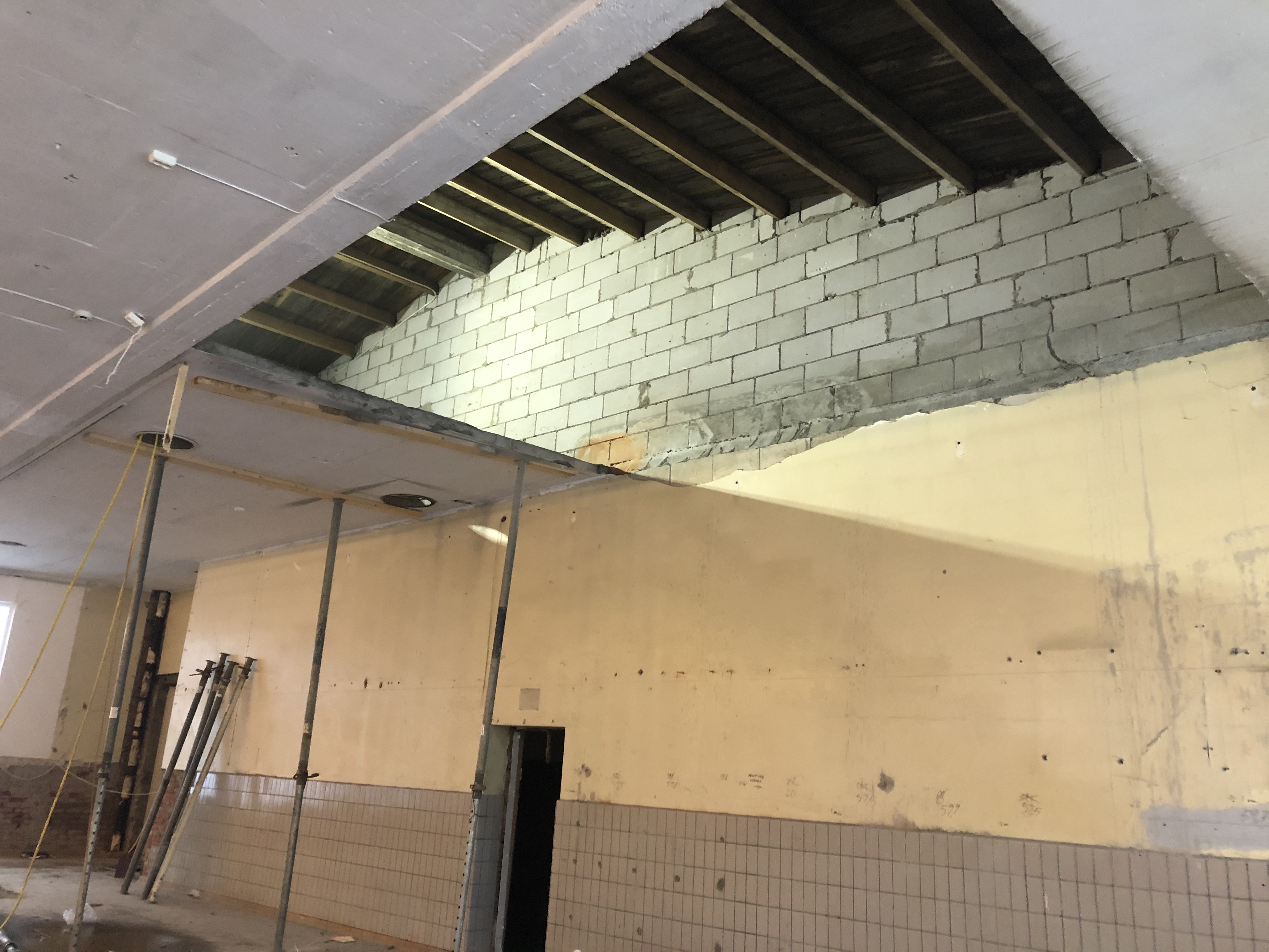 Metra Moss - Bilde 7