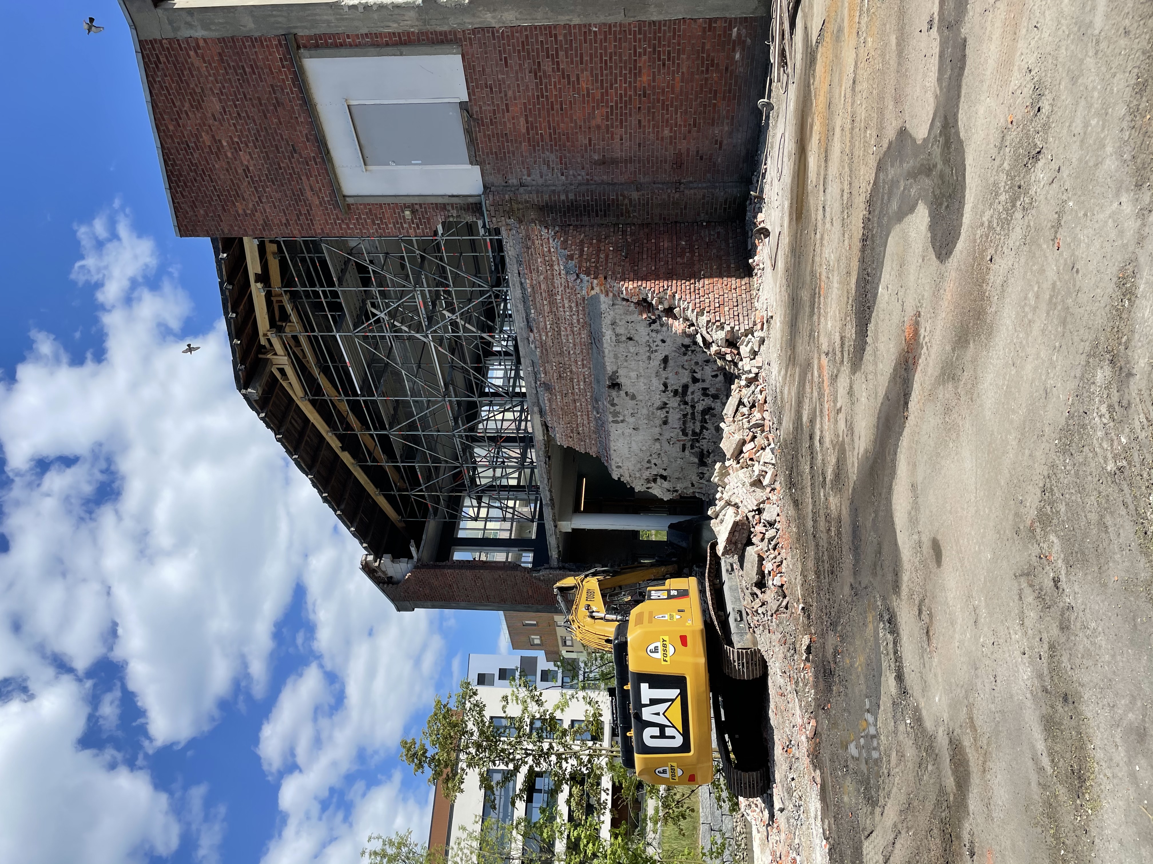 Metra Moss - Bilde 13